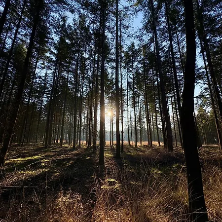Alpesi faház Rumah Bersama Kempenbos