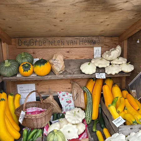 Chalet Rumah Bersama Kempenbos Diessen