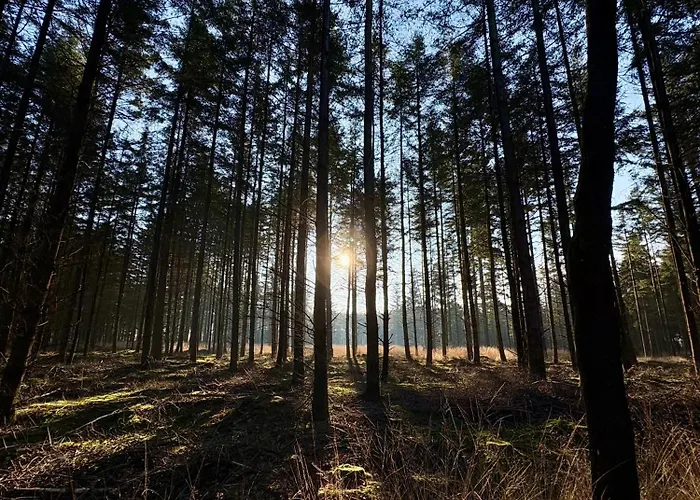 Chalet Rumah Bersama Kempenbos